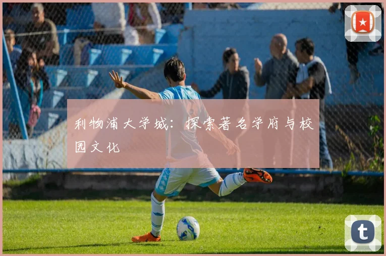 利物浦大学城:探索著名学府与校园文化